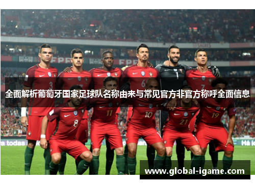 全面解析葡萄牙国家足球队名称由来与常见官方非官方称呼全面信息