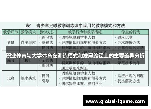 职业体育与大学体育在训练模式和发展路径上的主要差异分析