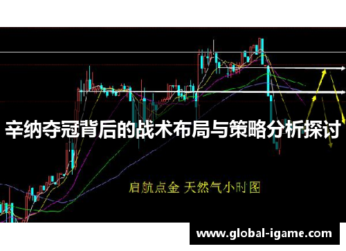 辛纳夺冠背后的战术布局与策略分析探讨