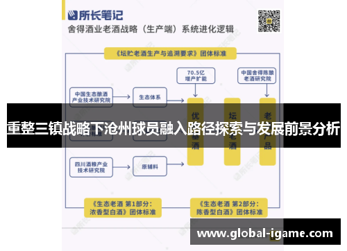 重整三镇战略下沧州球员融入路径探索与发展前景分析