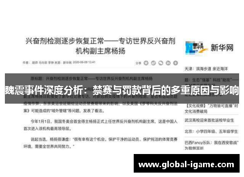 魏震事件深度分析：禁赛与罚款背后的多重原因与影响